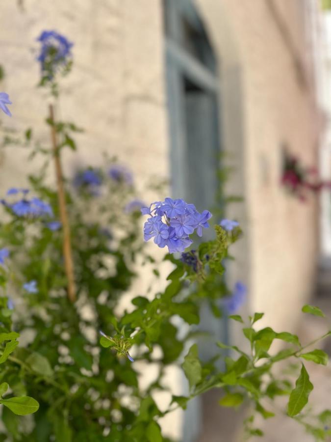 Bianco Calce - Ostuni Villa Ngoại thất bức ảnh